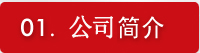 公司简介