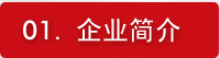 公司简介